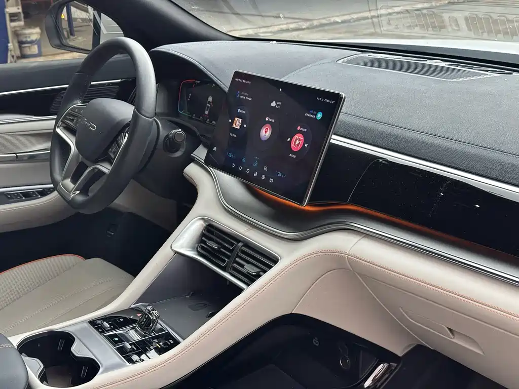BYD PLUS New Energy — фото 11