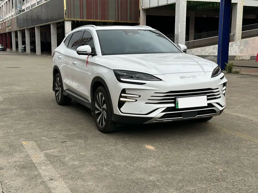 BYD PLUS New Energy — фото 3