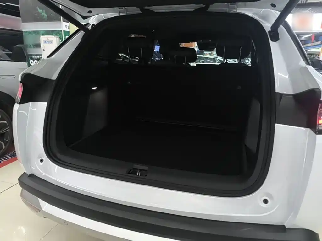 BYD L DM-i — фото 19