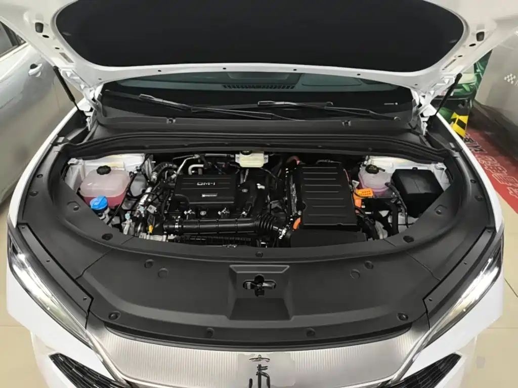 BYD L DM-i — фото 20