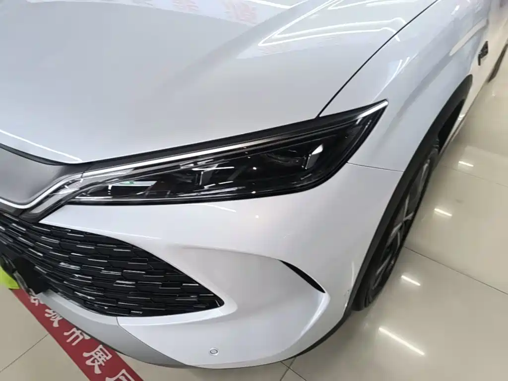 BYD L DM-i — фото 24