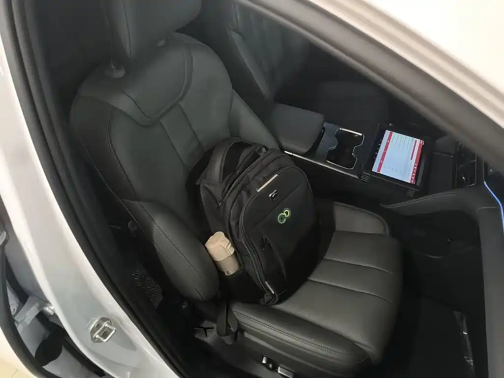 BYD L DM-i — фото 25