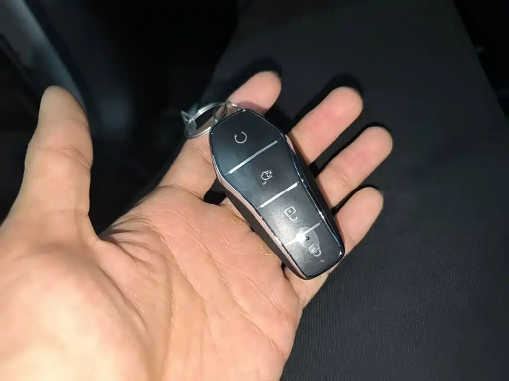 BYD L DM-i — фото 9