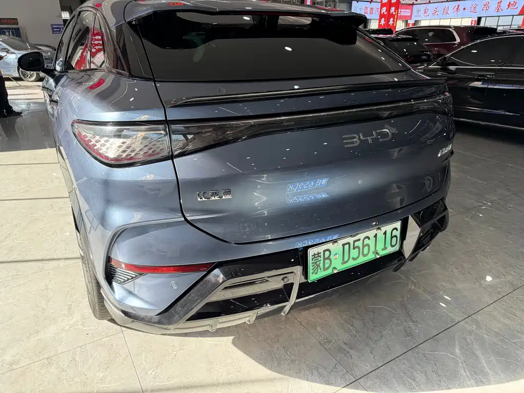 BYD Sealion 07 EV — фото 14