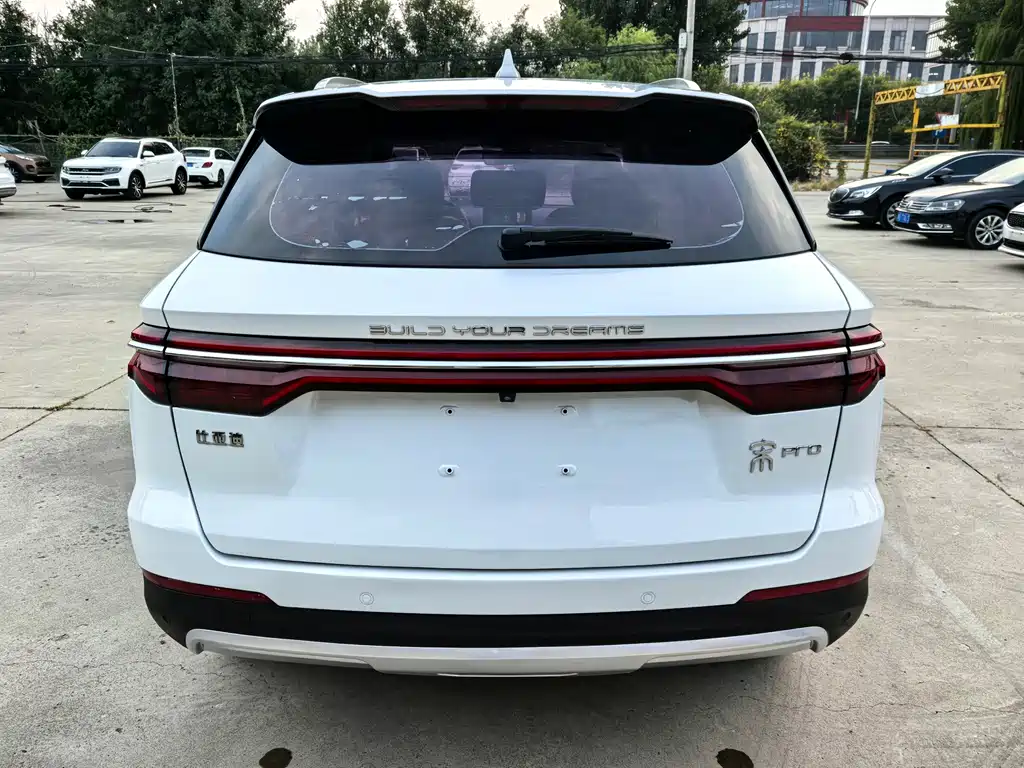 BYD Pro — фото 6