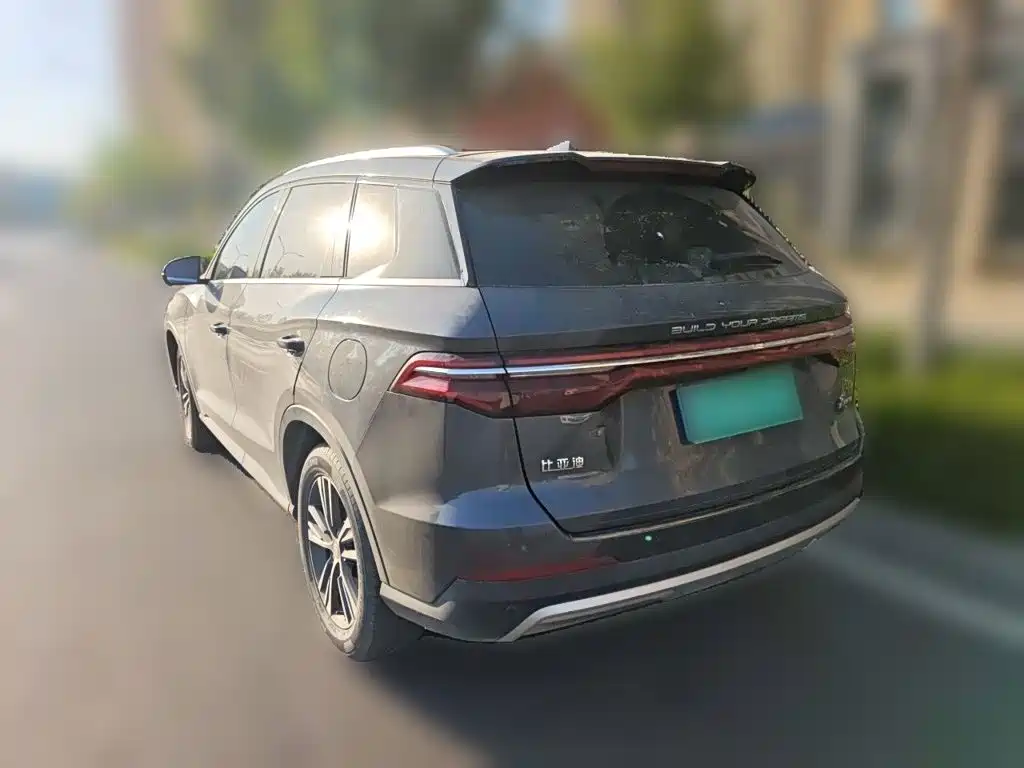 BYD Pro — фото 4