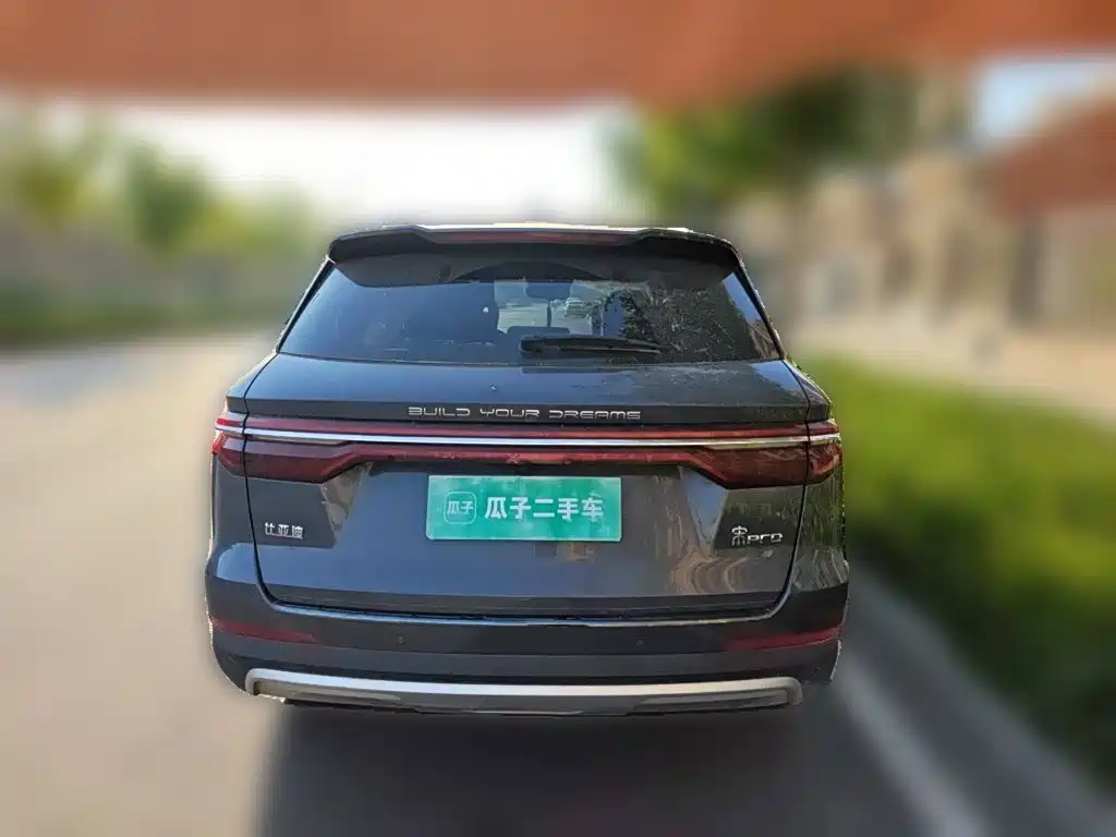 BYD Pro — фото 5