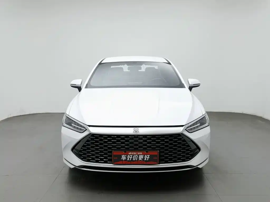 BYD Qin PLUS — фото 3