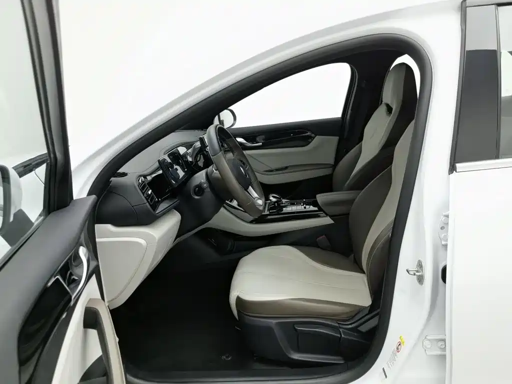 BYD Qin PLUS — фото 10