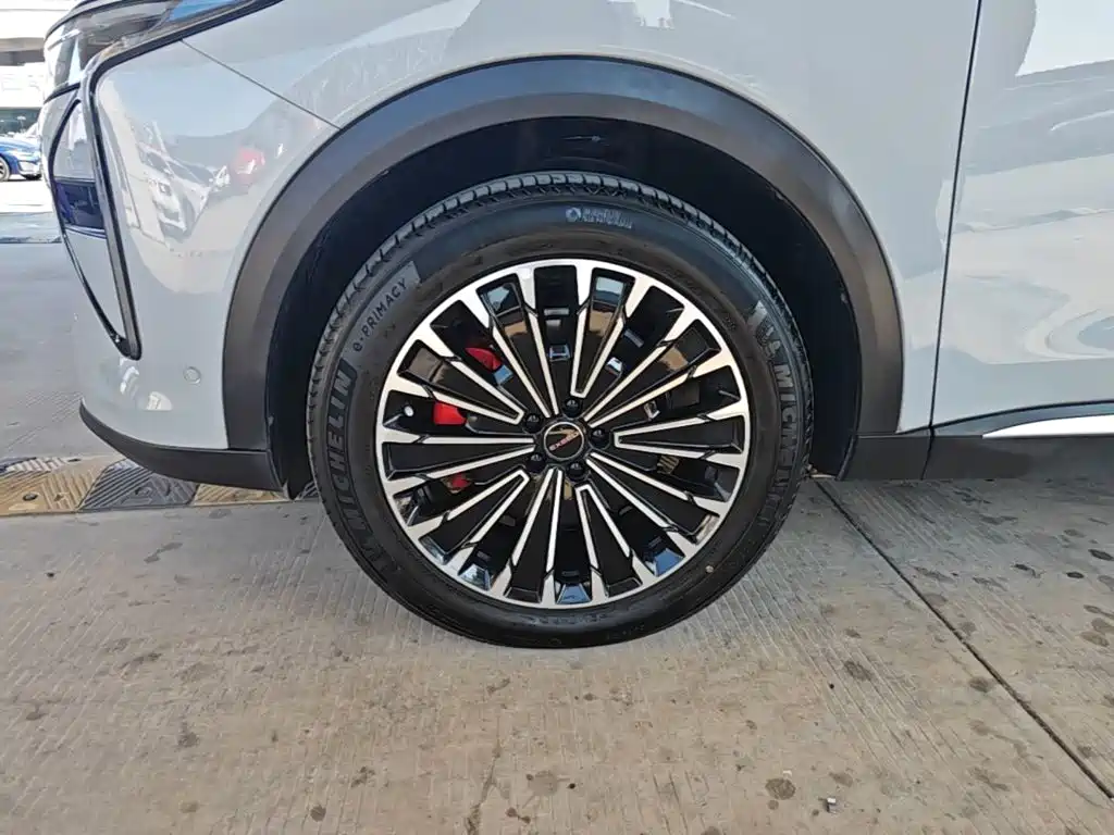 Exeed Yaoguang C-DM — фото 23