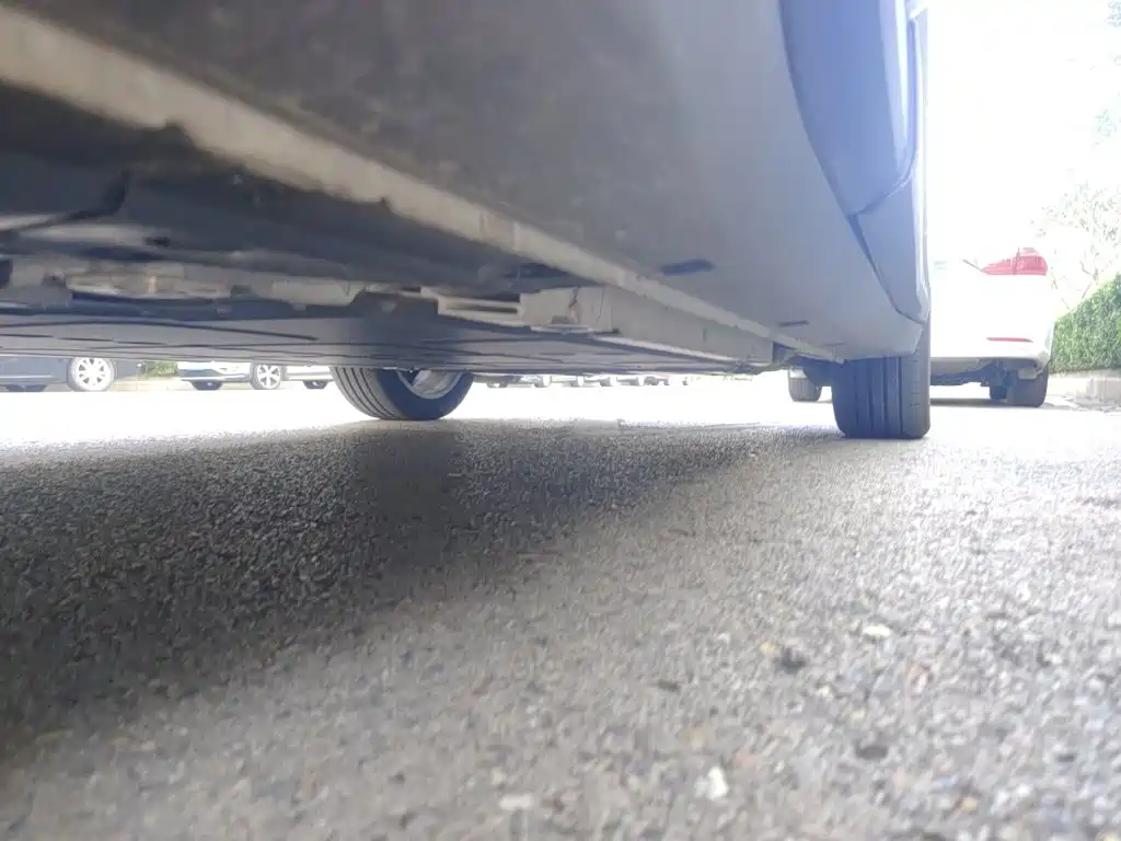Firefly Firefly — фото 18