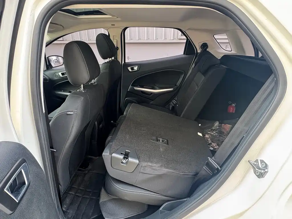 Ford Ecosport — фото 15