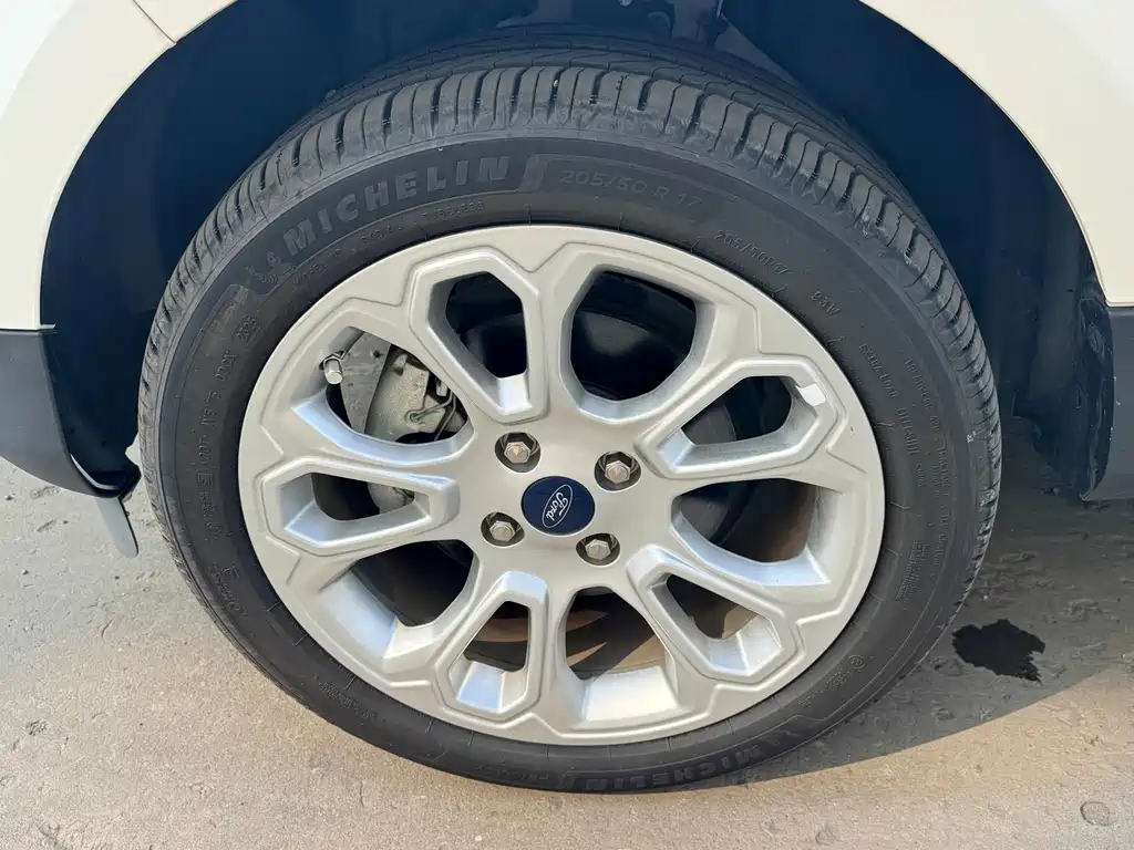 Ford Ecosport — фото 10