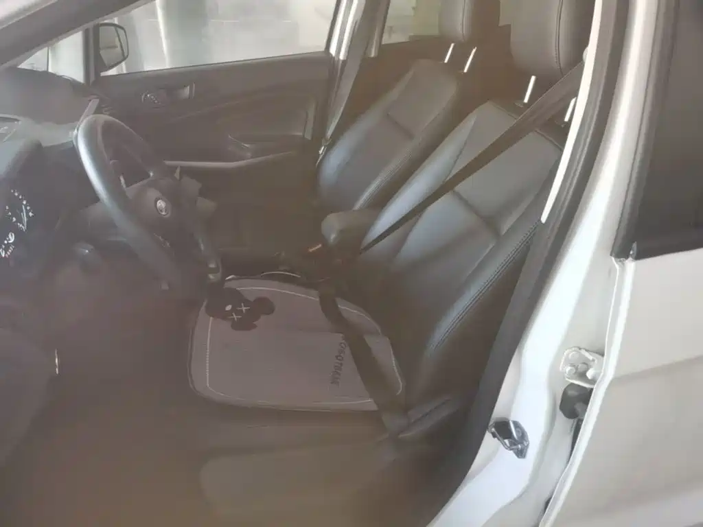 Ford Ecosport — фото 15