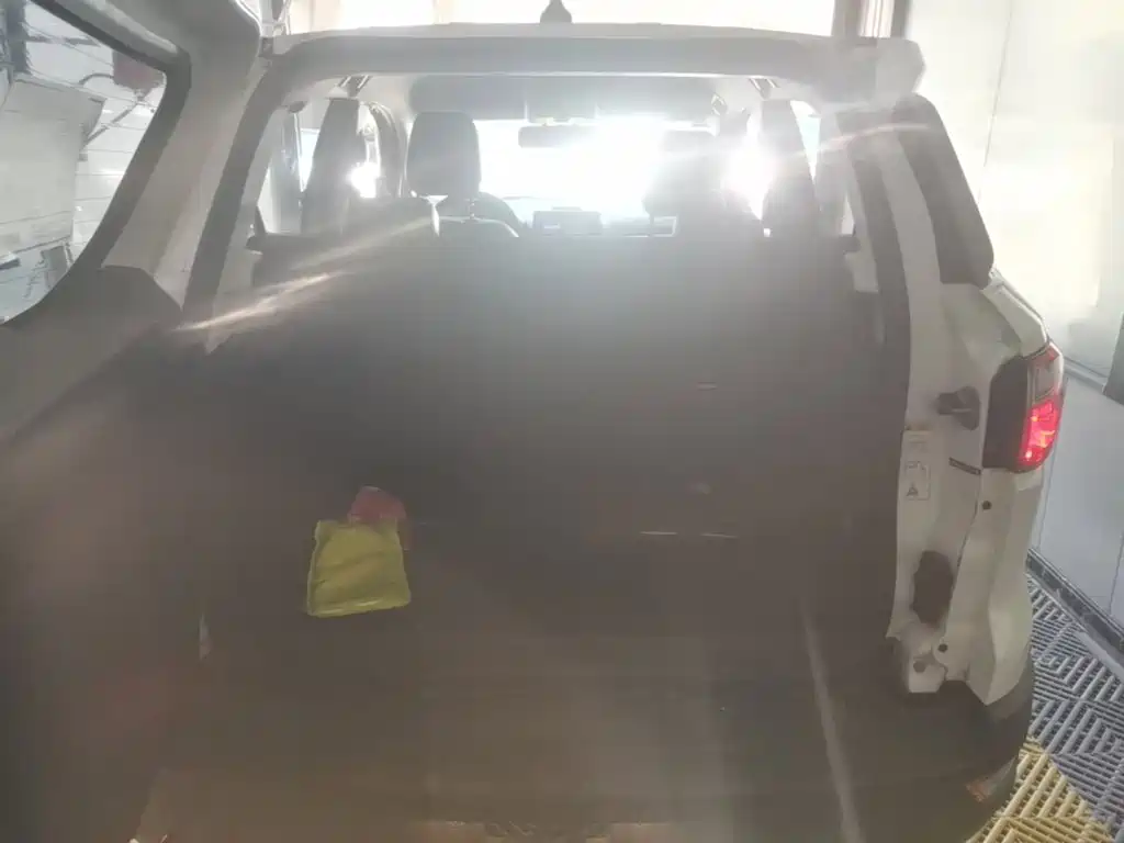 Ford Ecosport — фото 19
