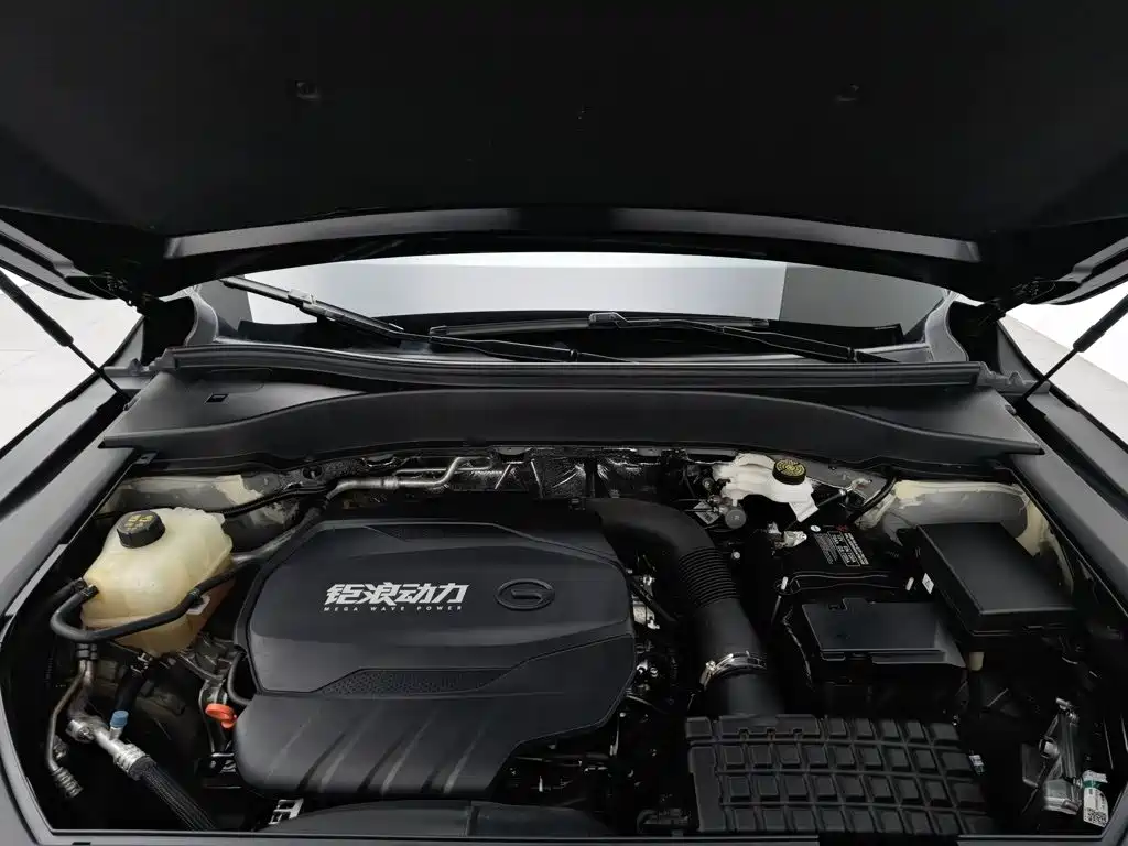 GAC Motor Trumpchi GS8 — фото 6