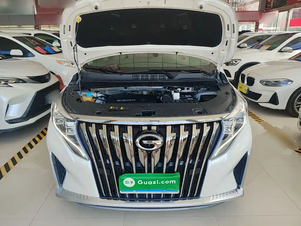 GAC Motor Trumpchi M8 — фото 20