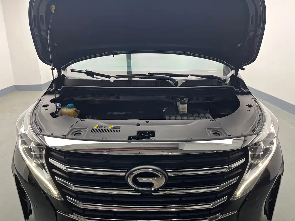 GAC Motor Trumpchi M8 — фото 21