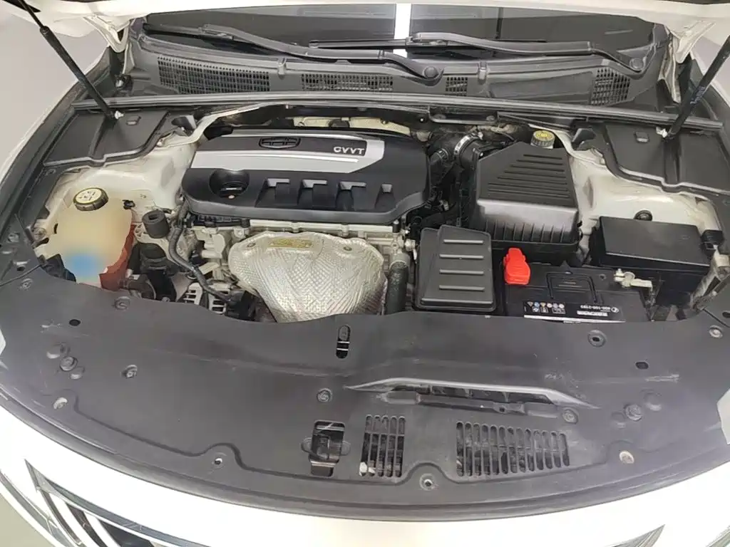 Geely Borui — фото 20