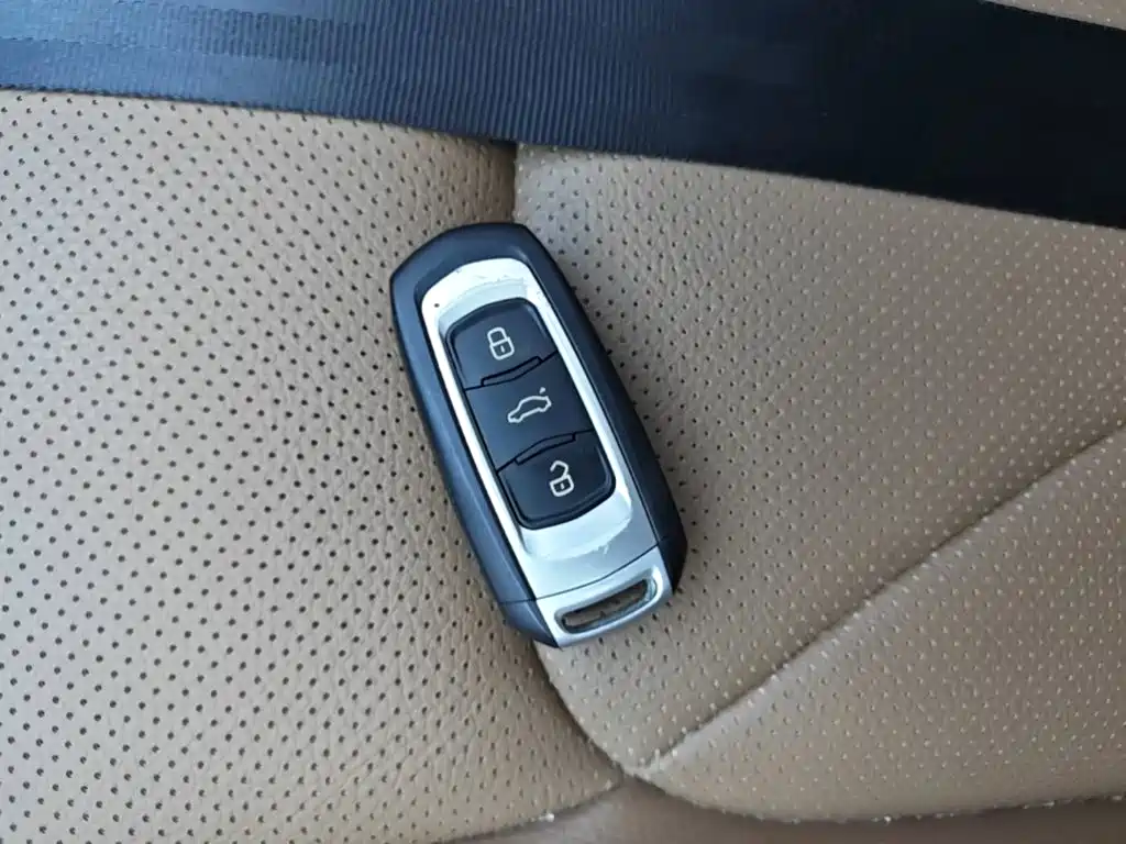 Geely Borui — фото 9