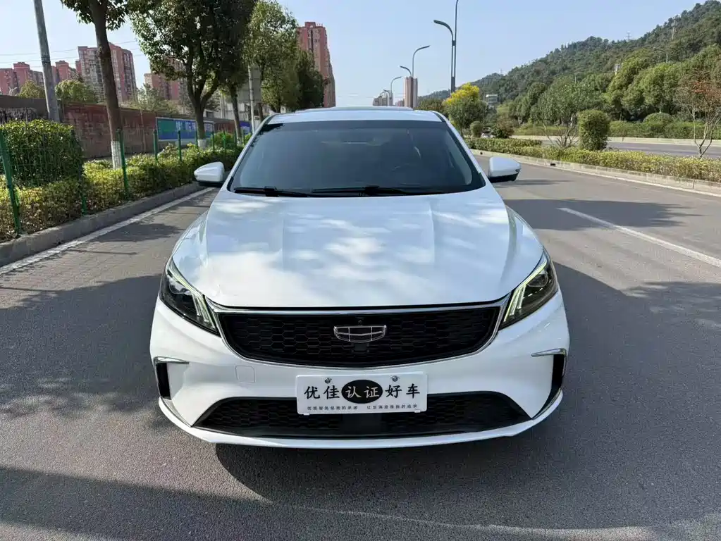 Geely Binrui — фото 2