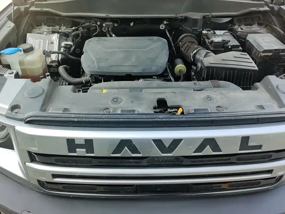 Haval Big Dog — фото 10