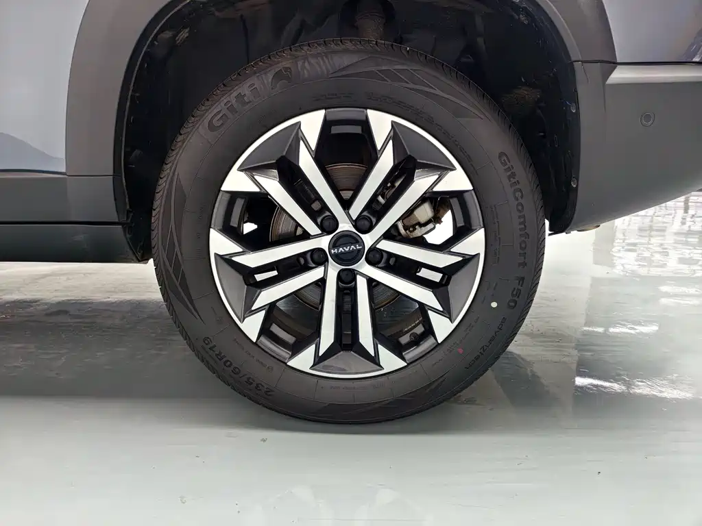 Haval Big Dog — фото 11