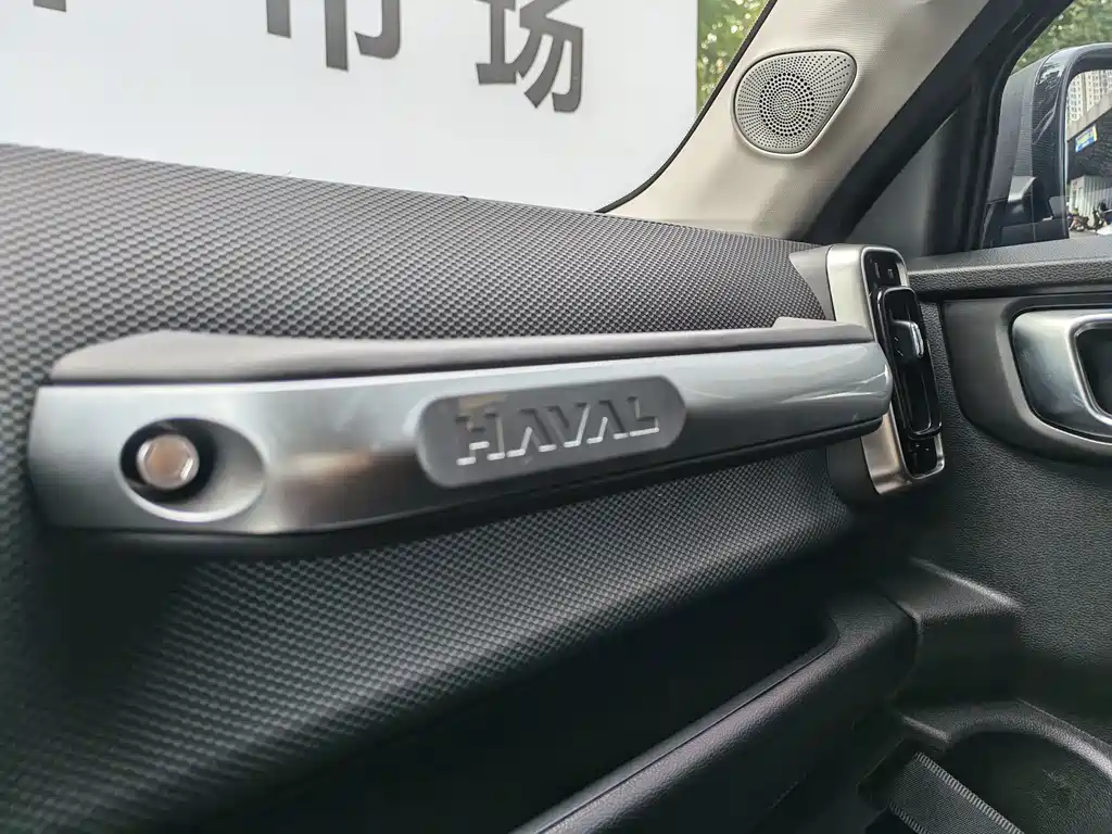 Haval Big Dog — фото 17