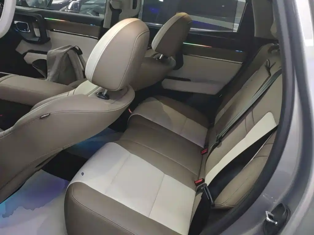 Haval Big Dog PLUS New Energy — фото 17