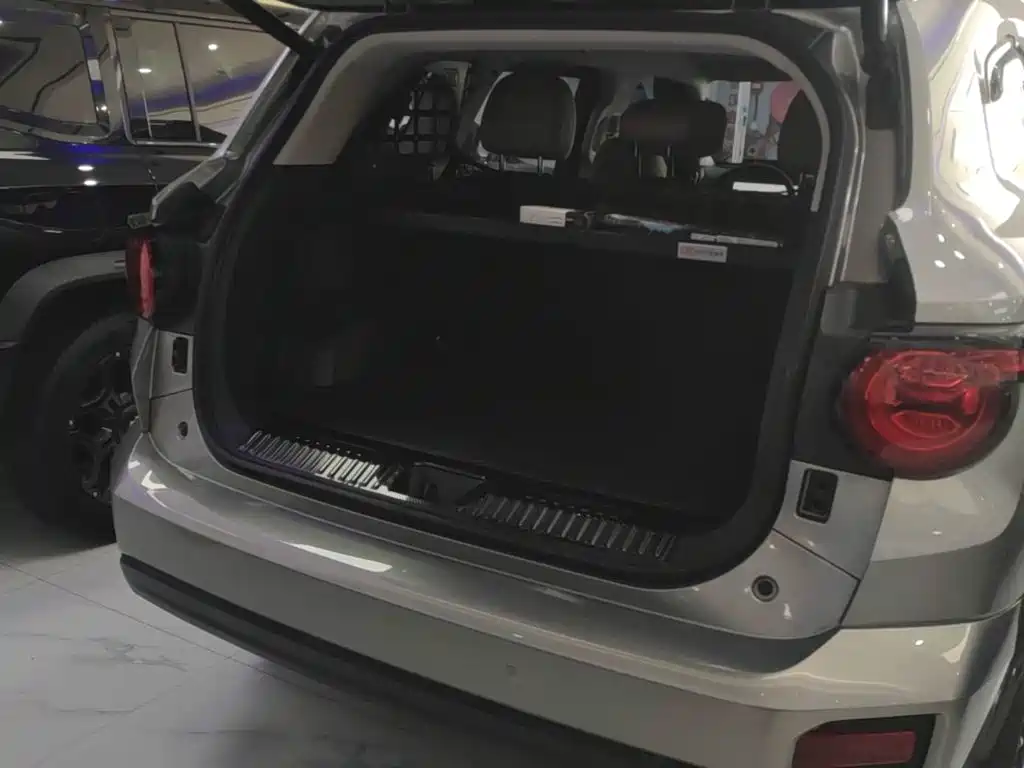 Haval Big Dog PLUS New Energy — фото 19