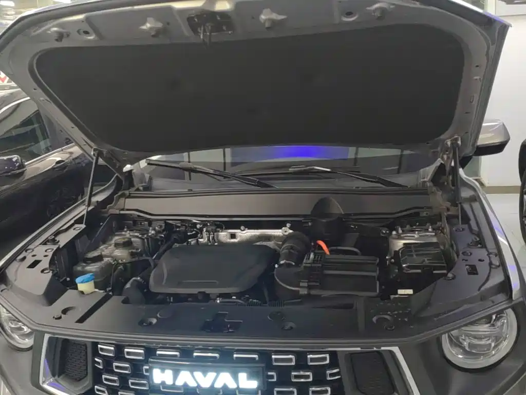 Haval Big Dog PLUS New Energy — фото 20