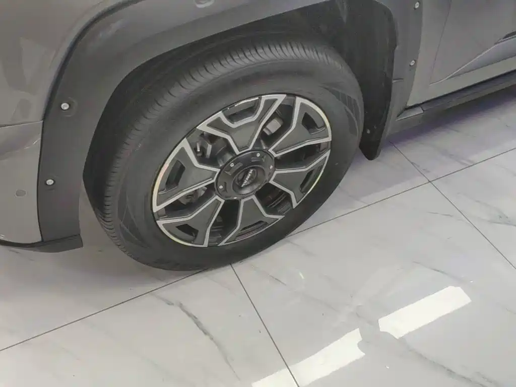Haval Big Dog PLUS New Energy — фото 23