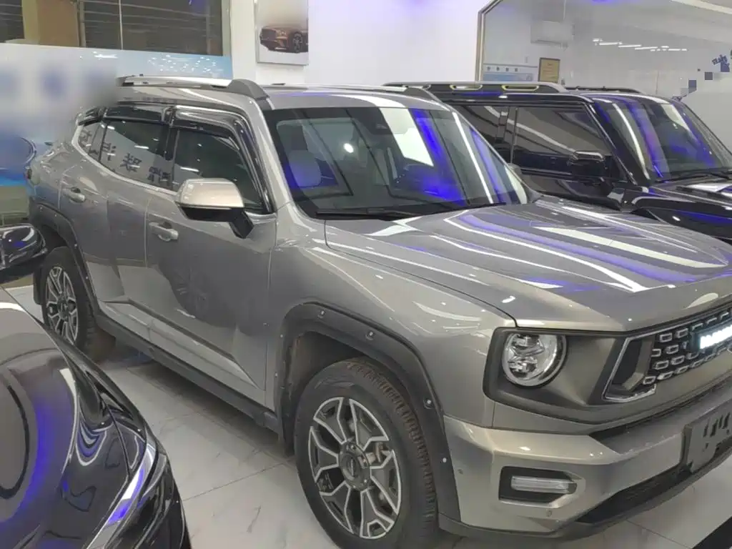 Haval Big Dog PLUS New Energy — фото 4