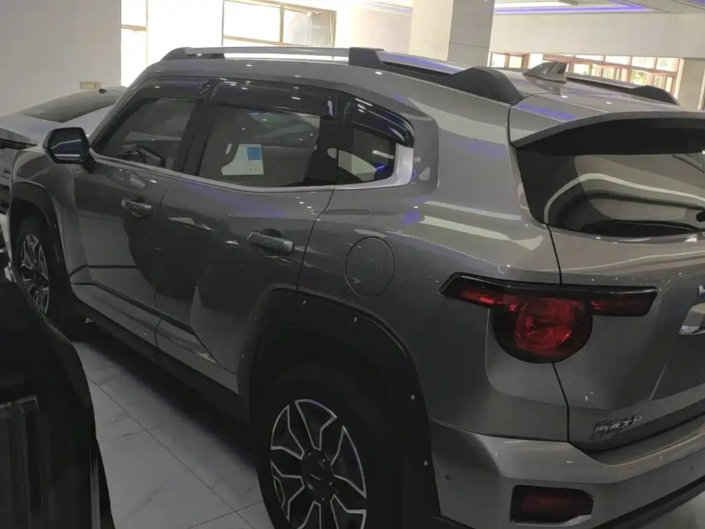 Haval Big Dog PLUS New Energy — фото 5
