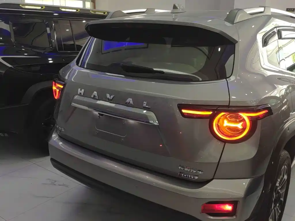 Haval Big Dog PLUS New Energy — фото 6