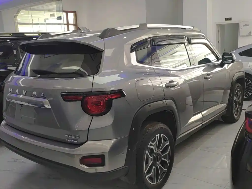 Haval Big Dog PLUS New Energy — фото 7