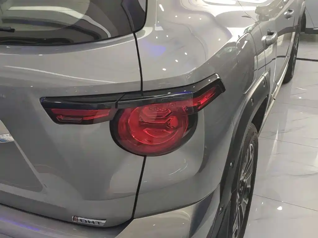Haval Big Dog PLUS New Energy — фото 8