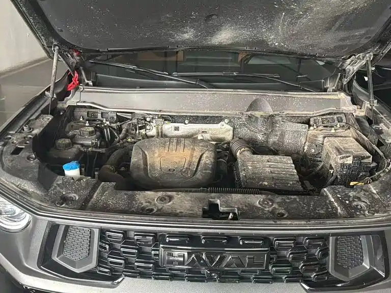 Haval Big Dog PLUS New Energy — фото 11