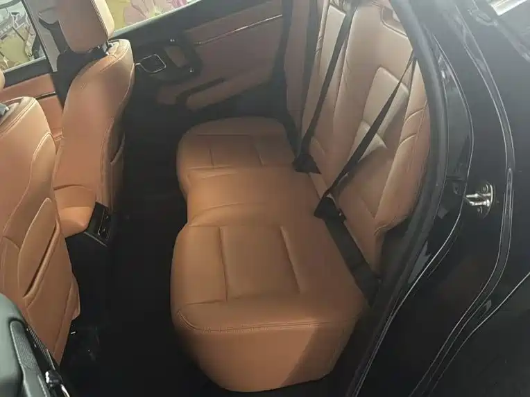 Haval Big Dog PLUS New Energy — фото 14
