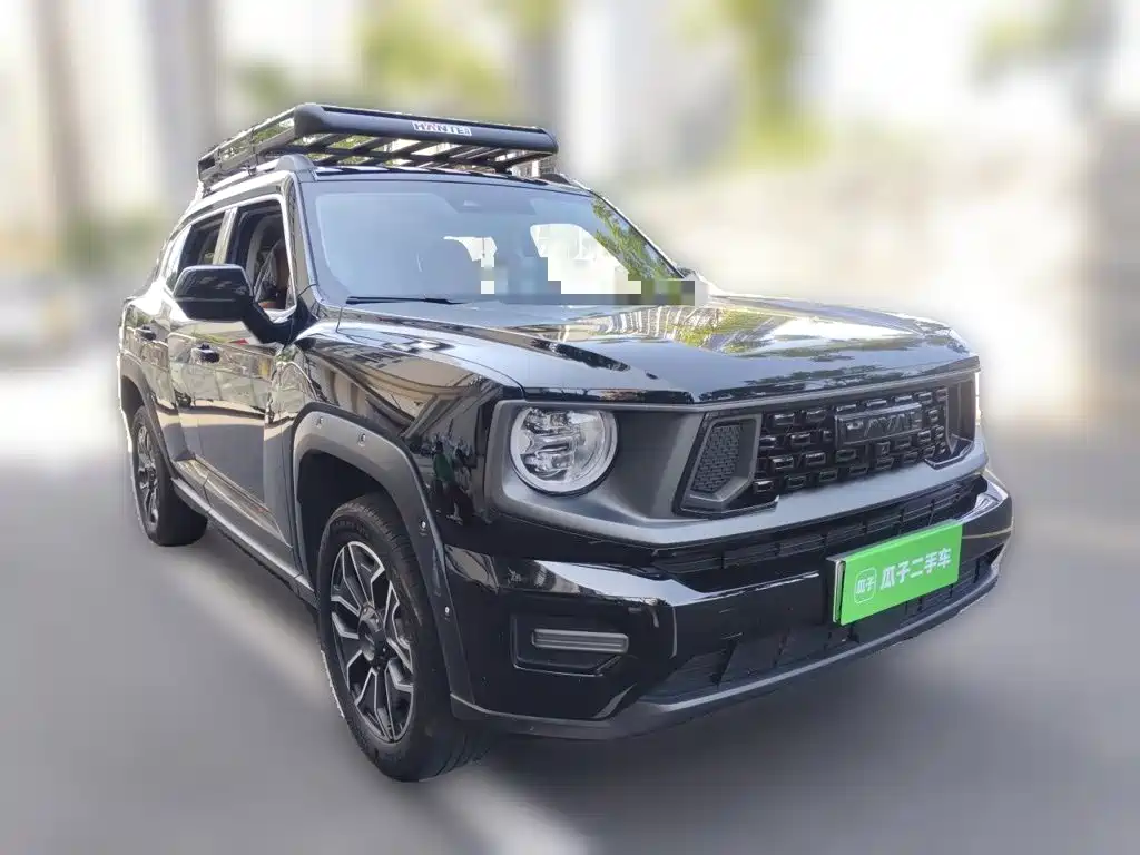 Haval Big Dog PLUS New Energy — фото 24