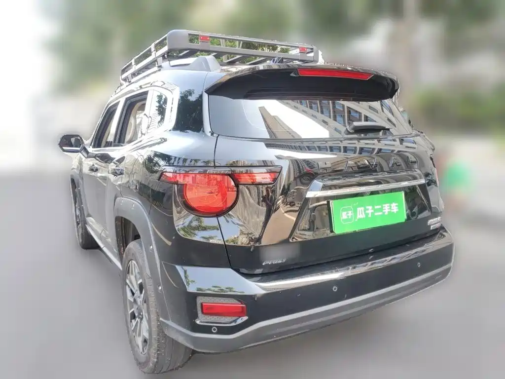 Haval Big Dog PLUS New Energy — фото 25