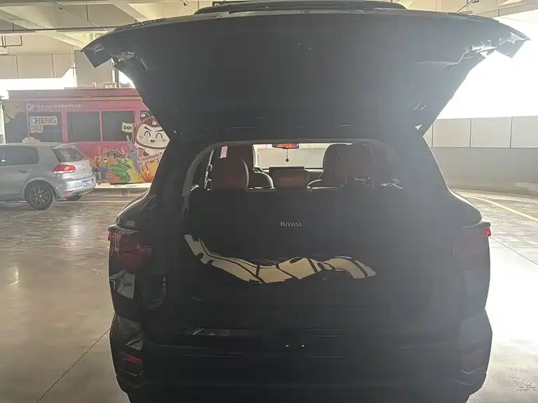 Haval Big Dog PLUS New Energy — фото 10