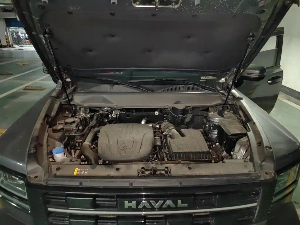 Haval Menglong New Energy — фото 11