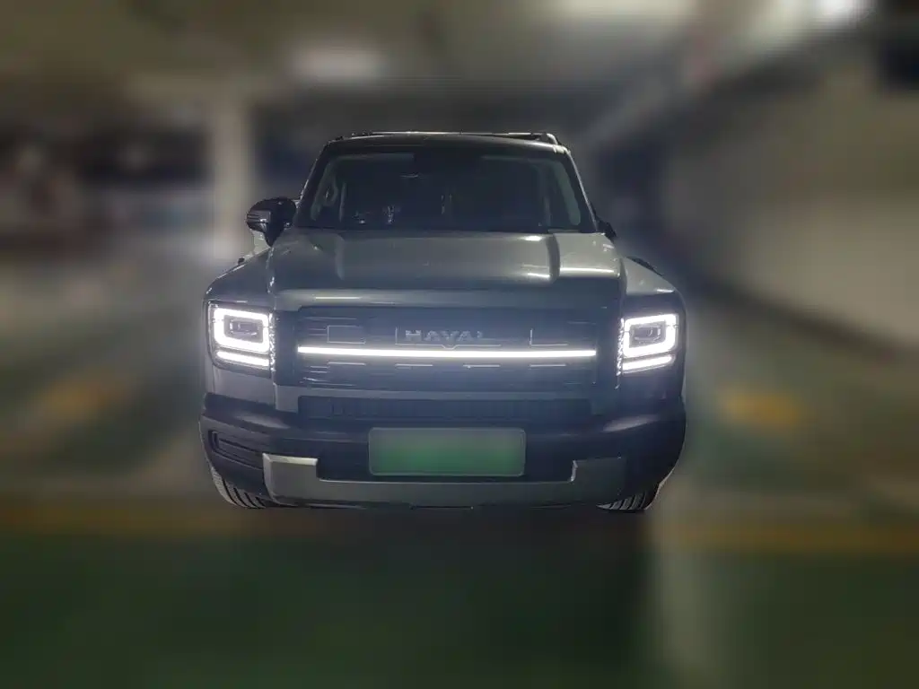 Haval Menglong New Energy — фото 24