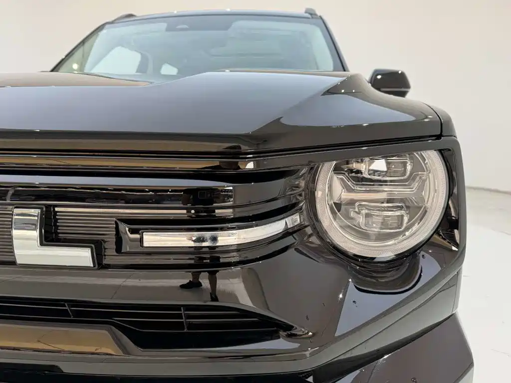 Haval Big Dog PLUS New Energy — фото 2