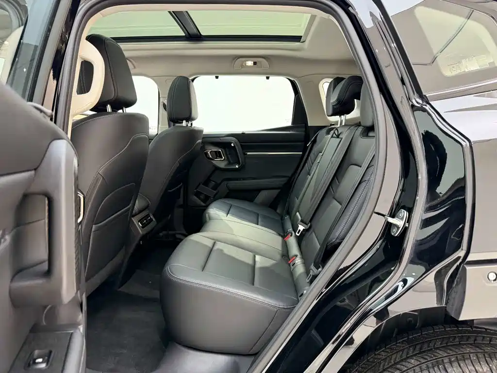Haval Big Dog PLUS New Energy — фото 17