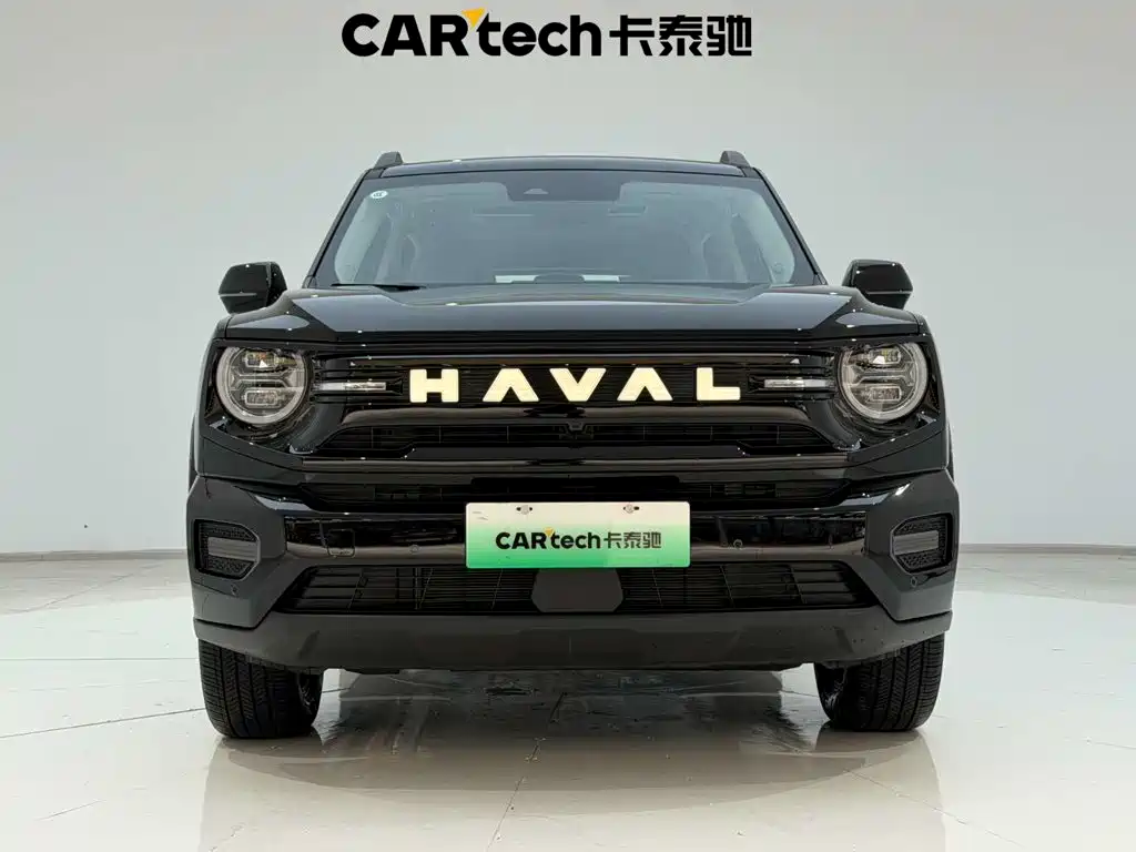 Haval Big Dog PLUS New Energy — фото 3