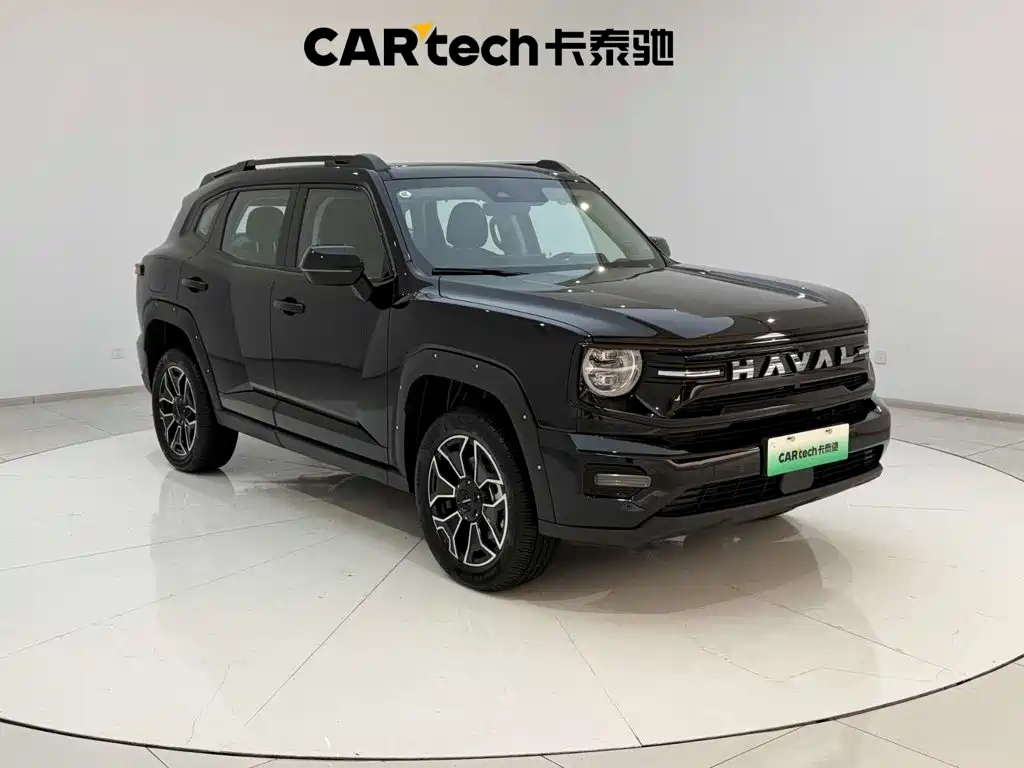 Haval Big Dog PLUS New Energy — фото 4