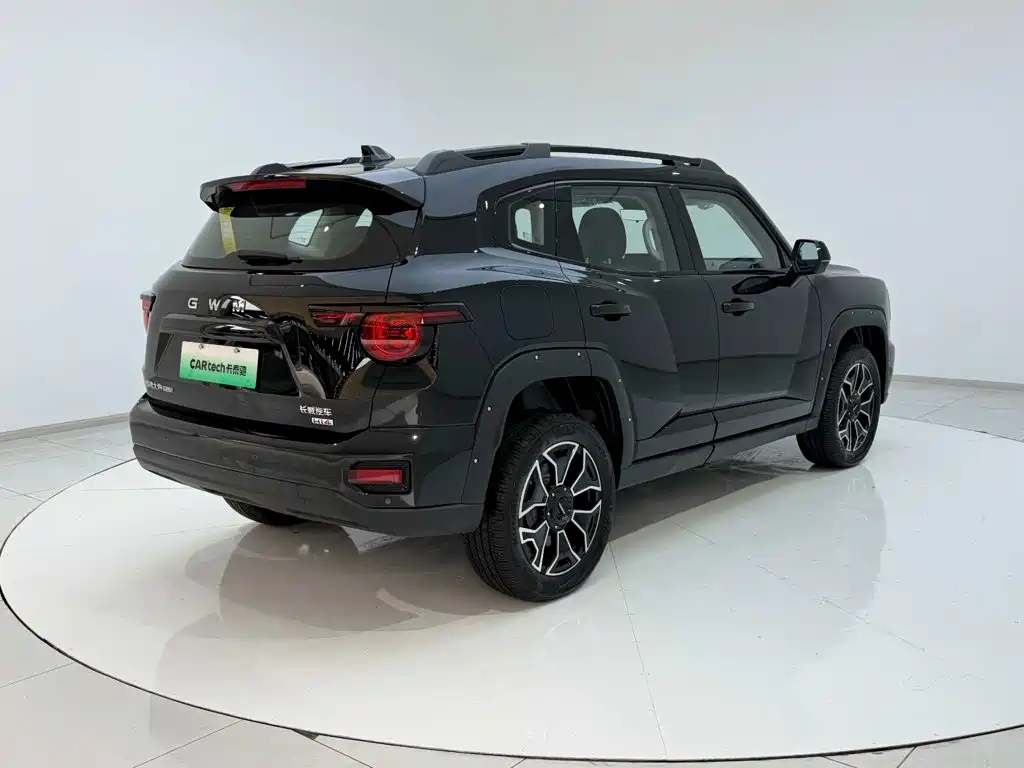 Haval Big Dog PLUS New Energy — фото 7