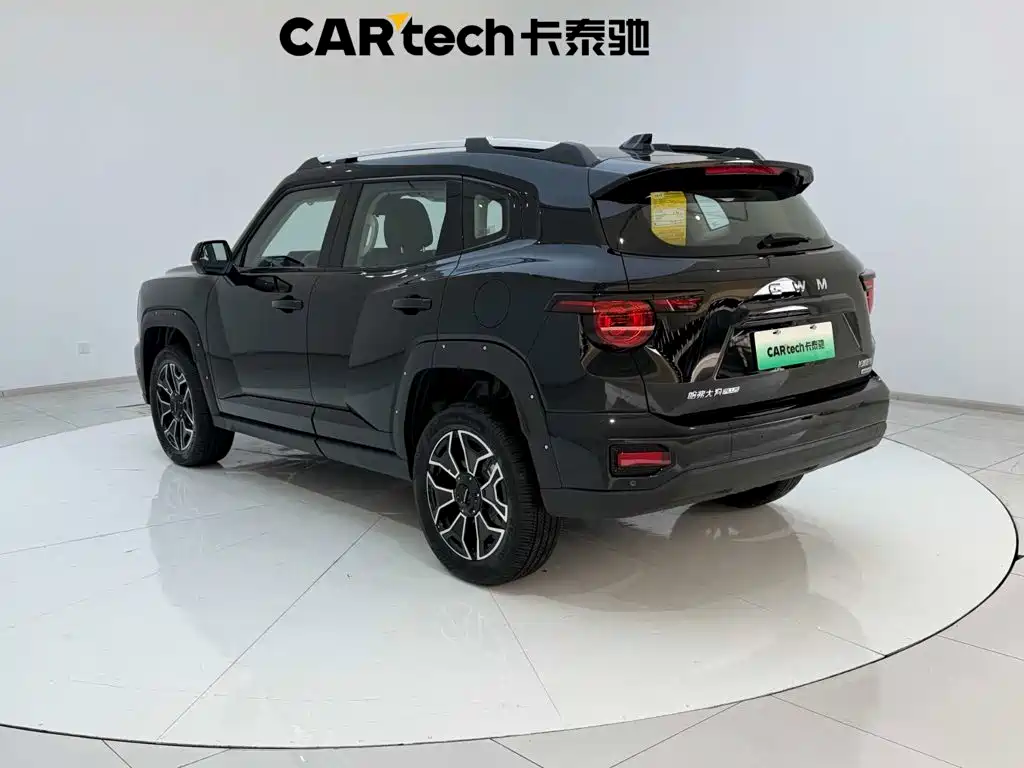 Haval Big Dog PLUS New Energy — фото 8